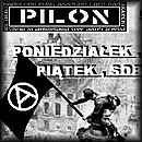 Pilon info.jpg Pilon info.jpg