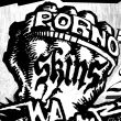 PORNO SKINS PORNO SKINS