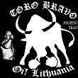 TORO BRAVO TORO